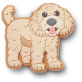 Crocs - b'Golden Doodle Puppy Jibbitz Shoe Charm' for Women|Men|Jibbitz™ Charms