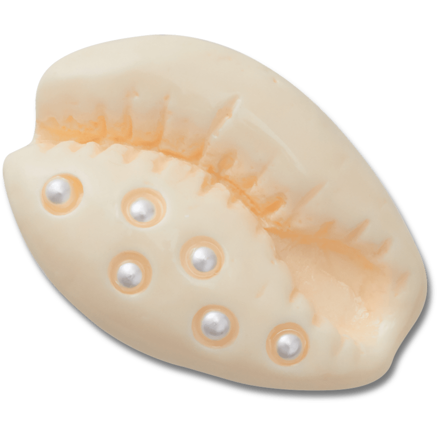 Crocs - Pearl Puka Shell Jibbitz™ charms for Women|Men|Jibbitz™ Charms