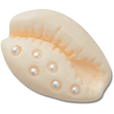 Crocs - Pearl Puka Shell Jibbitz™ charms for Women|Men|Jibbitz™ Charms