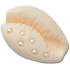 Crocs - Pearl Puka Shell Jibbitz™ charms for Women|Men|Jibbitz™ Charms