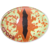 Crocs - Hazel Animal Eye Jibbitz™ charms for Women|Men|Jibbitz™ Charms