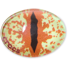 Crocs - Hazel Animal Eye Jibbitz™ charms for Women|Men|Jibbitz™ Charms