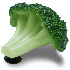 Crocs - Realistic Broccoli Jibbitz™ charms for Women|Men|Jibbitz™ Charms