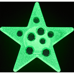 Crocs - Green Gem Star Jibbitz™ charms for Women|Men