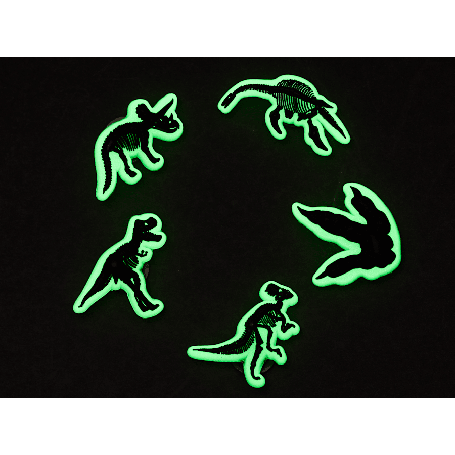 Crocs - Glow In The Dark Dino 5 Pack Jibbitz Shoe Charm for Women|Men|Jibbitz™ Charms