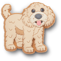 Crocs - b'Golden Doodle Puppy Jibbitz Shoe Charm' for Women|Men|Jibbitz™ Charms