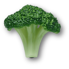 Crocs - Realistic Broccoli Jibbitz™ charms for Women|Men|Jibbitz™ Charms